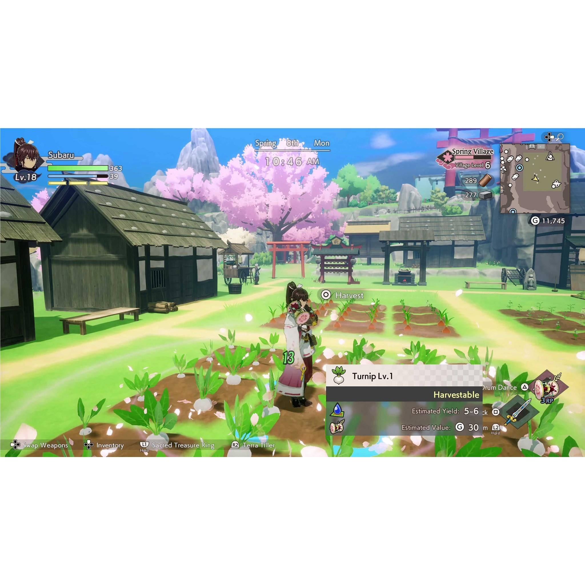 Rune Factory: Guardians of Azuma
